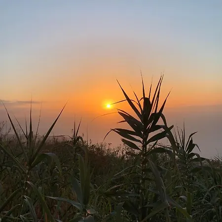 Canas * Santa Ursula (Tenerife)