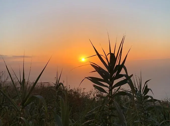 Canas * Santa Úrsula